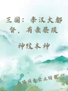 三国:季汉大都督,有妻蔡琰