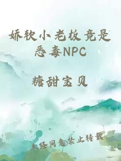 娇软小老板竟是恶毒NPC