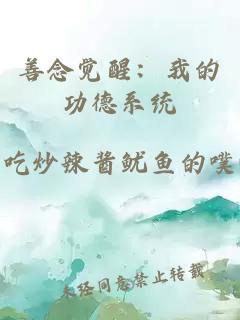 善念觉醒：我的功德系统