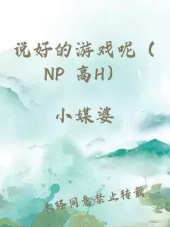说好的游戏呢(NP 高H)