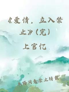 《爱情，立入禁止》(完)