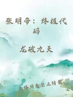 张明帝：终极代码