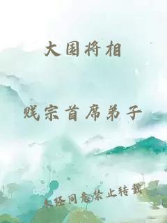 大国将相