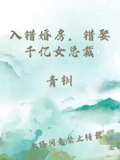 入错婚房，错娶千亿女总裁