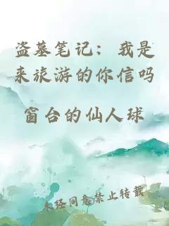 盗墓笔记：我是来旅游的你信吗