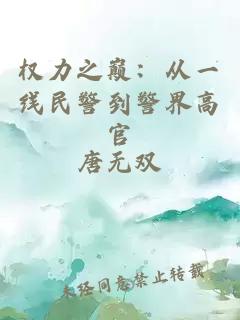 权力之巅：从一线民警到警界高官