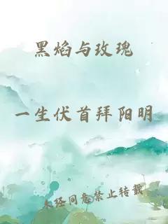 黑焰与玫瑰