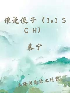 谁是傻子（1v1 SC H）