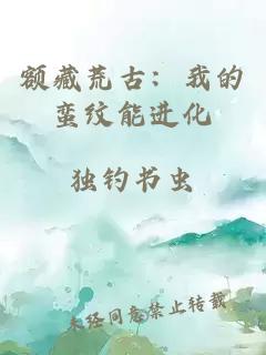 额藏荒古：我的蛮纹能进化