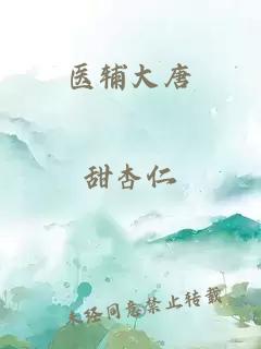 医辅大唐