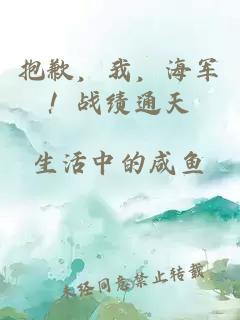 抱歉，我，海军！战绩通天