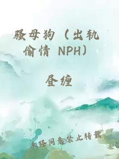骚母狗（出轨 偷情 NPH）