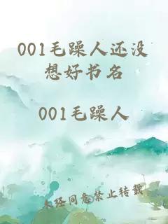 001毛躁人还没想好书名