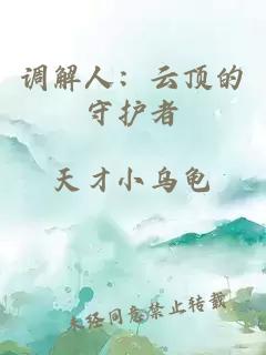 调解人：云顶的守护者