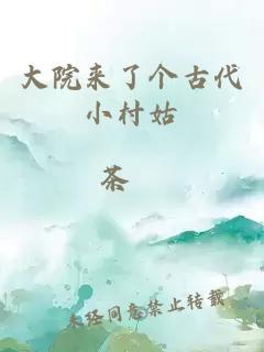 大院来了个古代小村姑