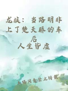 龙族：当路明非上了楚天骄的车后