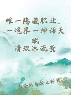 唯一隐藏职业，一境界一神话天赋