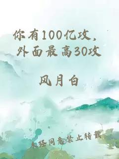 你有100亿攻，外面最高30攻