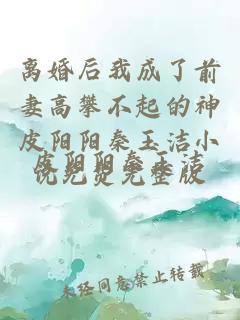 离婚后我成了前妻高攀不起的神皮阳阳秦玉洁小说免费完整版