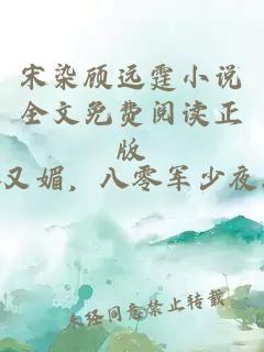 宋染顾远霆小说全文免费阅读正版