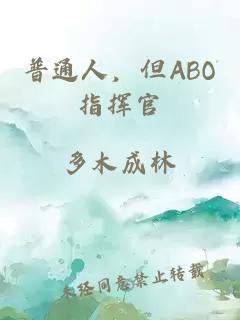 普通人，但ABO指挥官