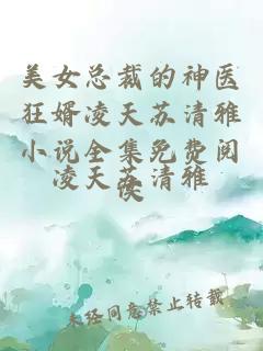 美女总裁的神医狂婿凌天苏清雅小说全集免费阅读