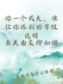 你一个武夫，谁让你炼剑的等级说明