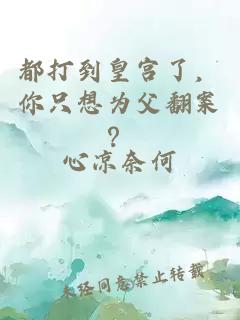 都打到皇宫了，你只想为父翻案？