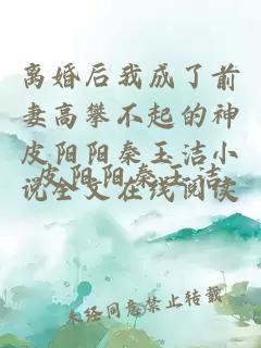 离婚后我成了前妻高攀不起的神皮阳阳秦玉洁小说全文在线阅读