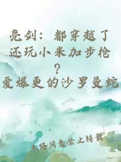 亮剑：都穿越了还玩小米加步枪？