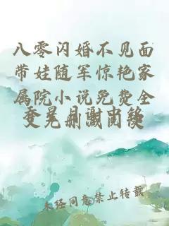 八零闪婚不见面带娃随军惊艳家属院小说免费全文无删减阅读