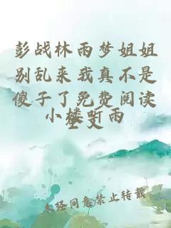 彭战林雨梦姐姐别乱来我真不是傻子了免费阅读全文