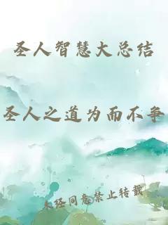 圣人智慧大总结。