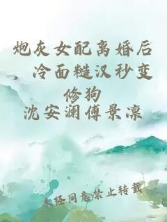 炮灰女配离婚后，冷面糙汉秒变修狗