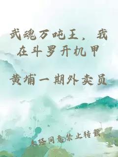 武魂万吨王，我在斗罗开机甲