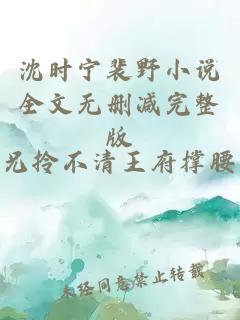 沈时宁裴野小说全文无删减完整版