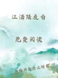 江酒陆夜白