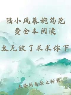 陆小风慕婉筠免费全本阅读