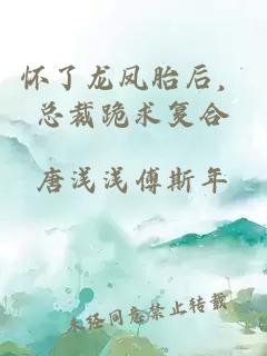 怀了龙凤胎后，总裁跪求复合