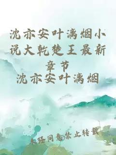 沈亦安叶漓烟小说大乾楚王最新章节