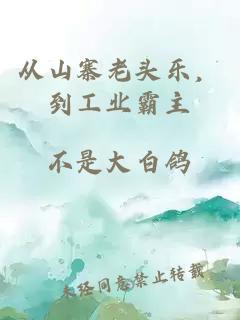 从山寨老头乐，到工业霸主