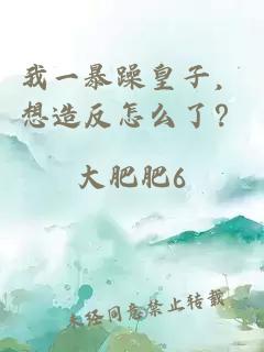 我一暴躁皇子，想造反怎么了？
