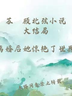苏婳顾北弦小说大结局