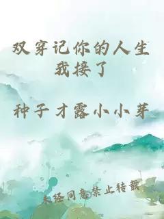 双穿记你的人生我接了
