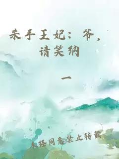 杀手王妃：爷，请笑纳