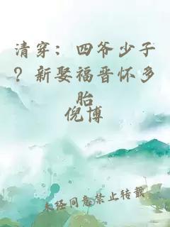 清穿：四爷少子？新娶福晋怀多胎