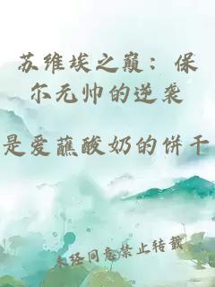 苏维埃之巅：保尔元帅的逆袭