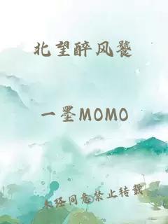 北望醉风饕