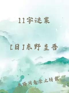 11字谜案