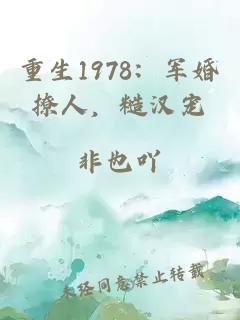 重生1978：军婚撩人，糙汉宠